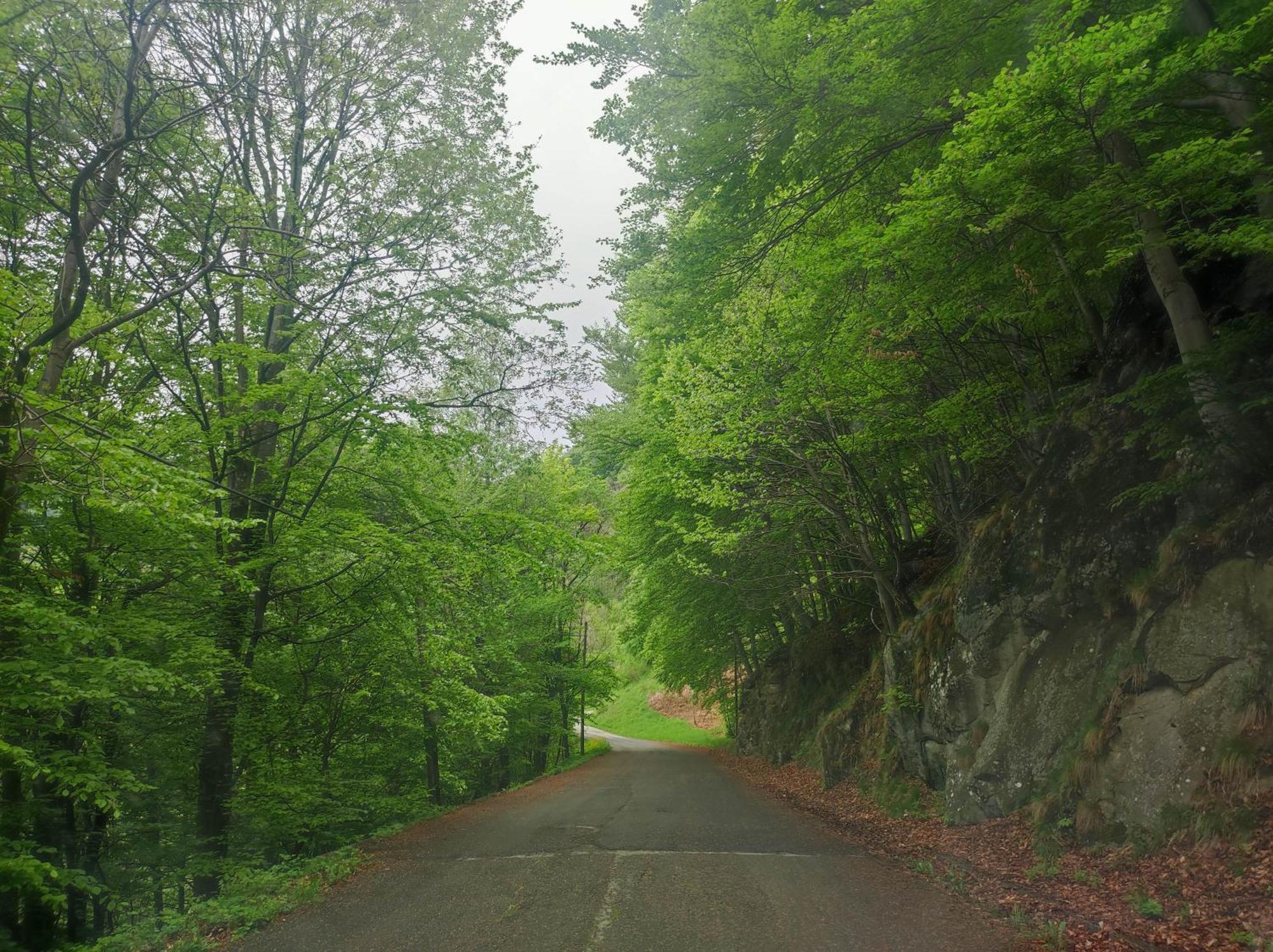 Casa Di Viu' Daire Oda fotoğraf